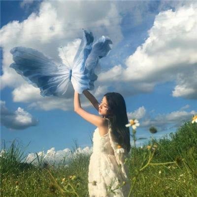 牡丹花血案