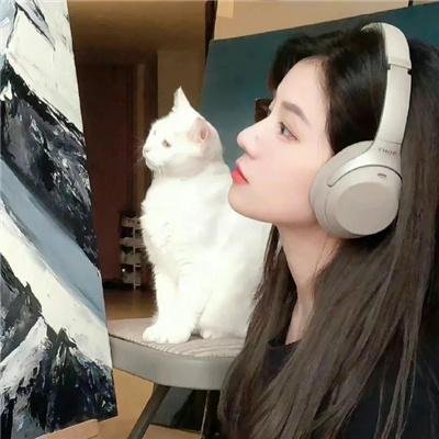 动漫综艺